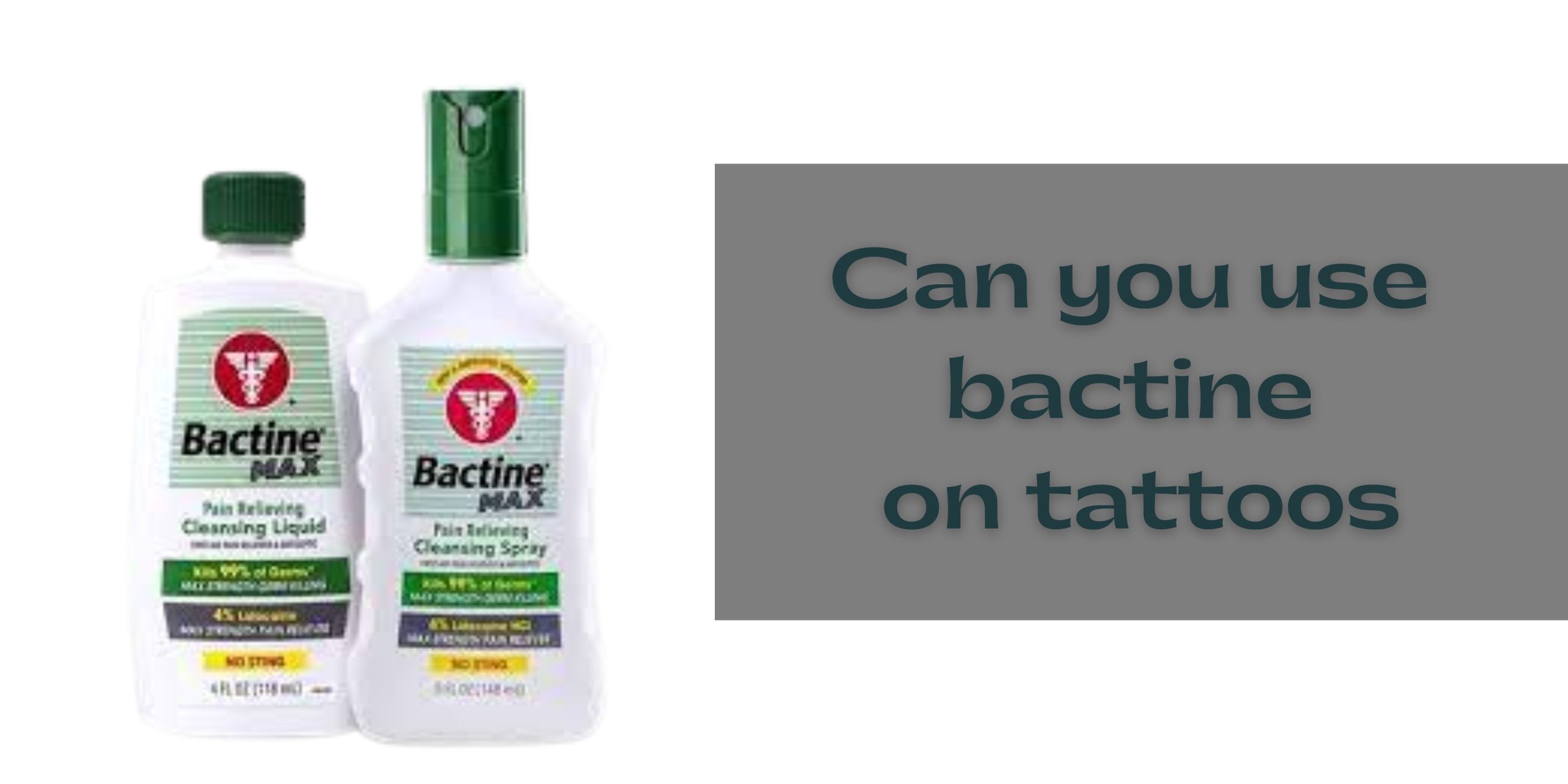 BACTINE MAX PAIN RELIEVING CLEANSING SPRAY  AFicionado Tattoo Supply Co  Ltd