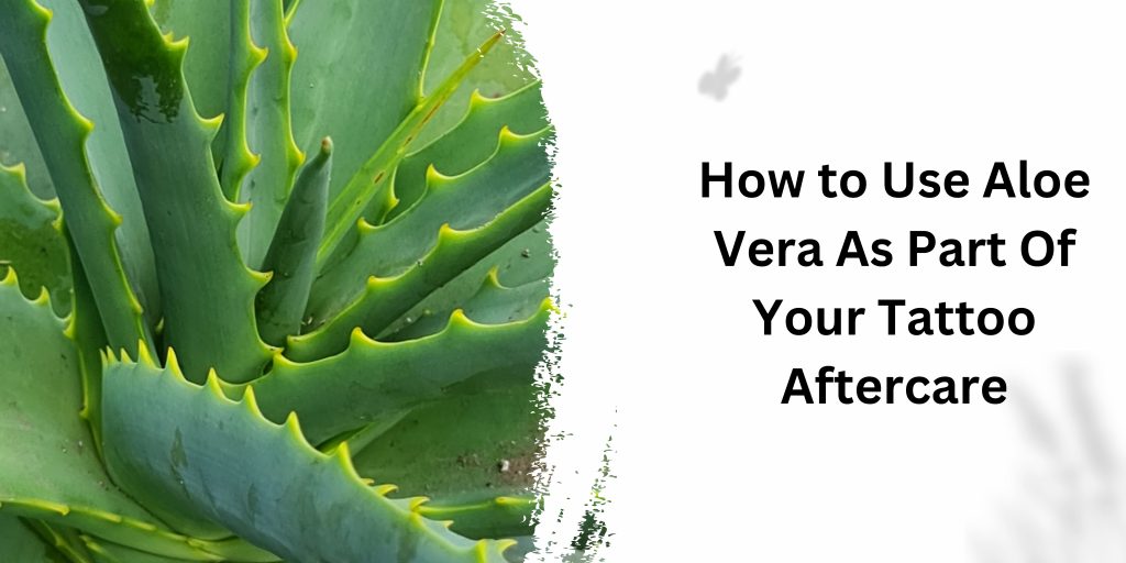 How to Use Aloe Vera